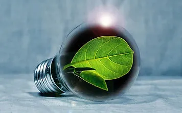 lightbulb-gc3c7d347b_1920.jpg